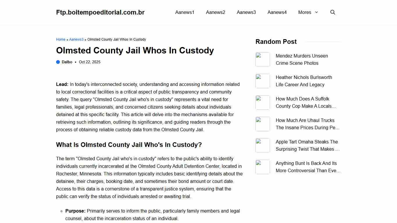 Olmsted County Jail Whos In Custody